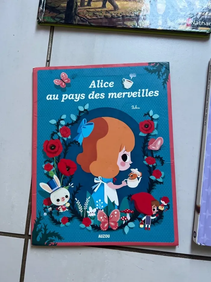 Lot de 18 livres divers thèmes - photo numéro 4