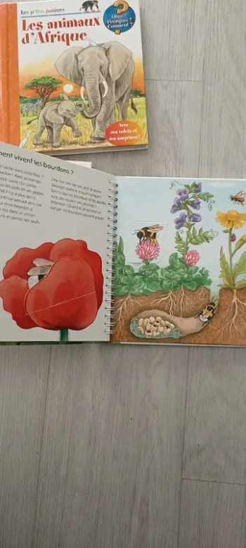 Lot de 3 livres les p'tits juniors