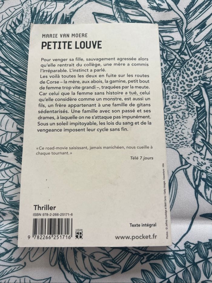 Petite Louve - Marie Van Moere - photo numéro 2