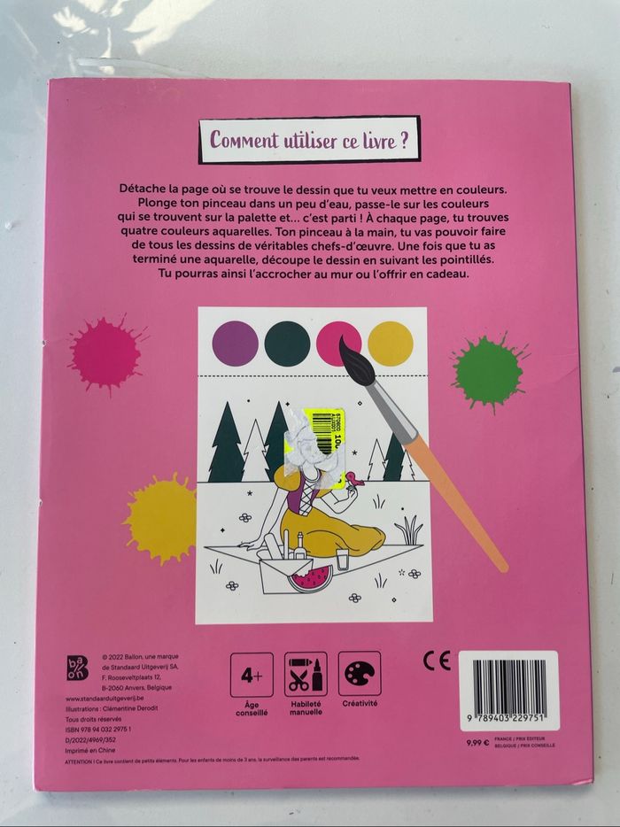 Livre de coloriages peinture princesse - photo numéro 2