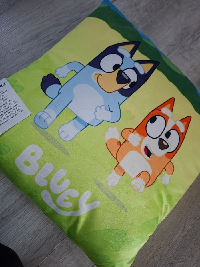 Coussin - photo numéro 2