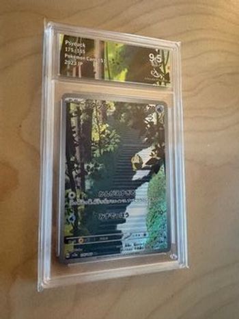 Psykokwak AR 175/165 Mint