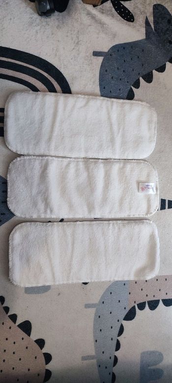 Insert Littles &  Bloomz