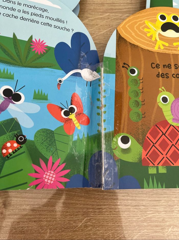 À qui sont ces cornes d’animaux - photo numéro 4