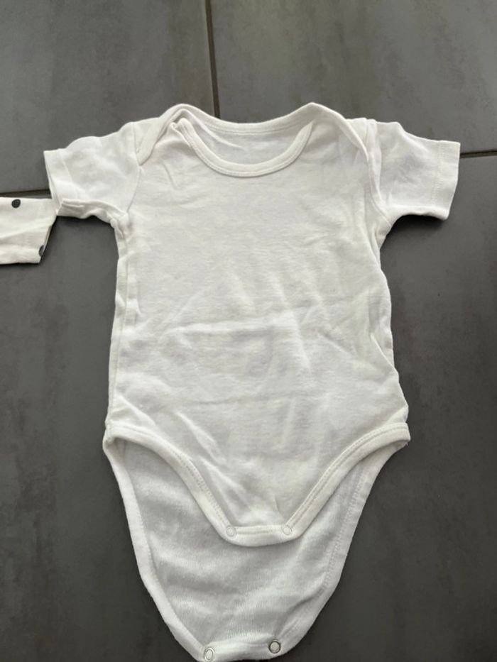 Lot body - photo numéro 4