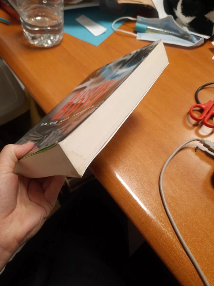 Roman seuil - photo numéro 4