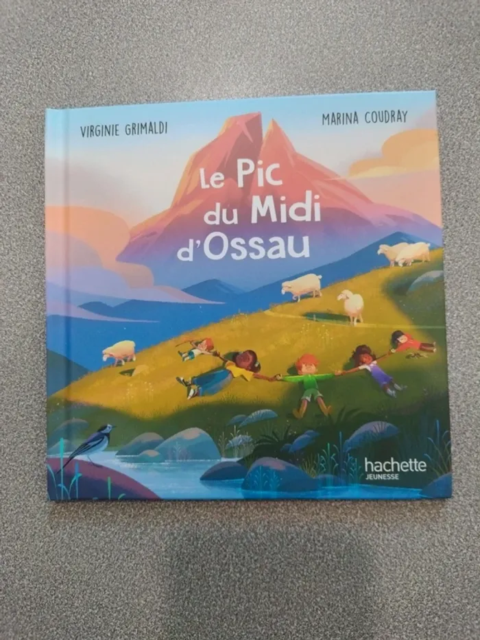 Divers livre enfants - photo numéro 4