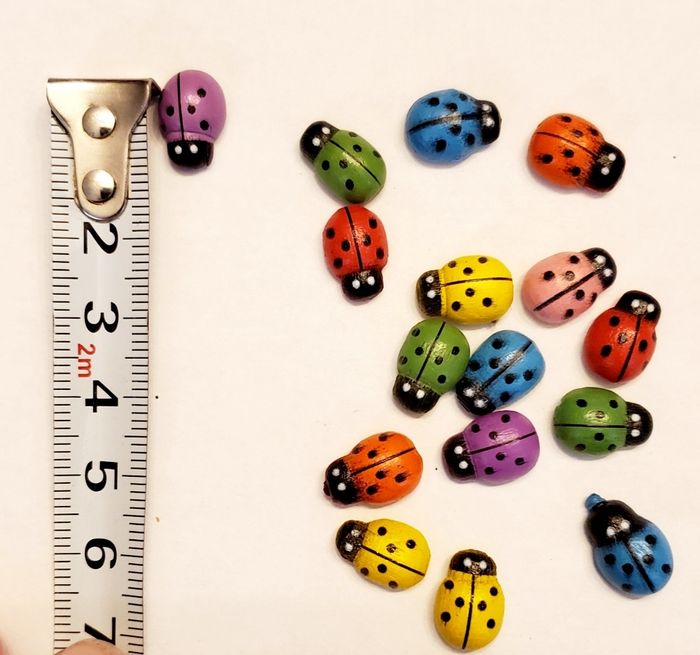16 Coccinelles en bois