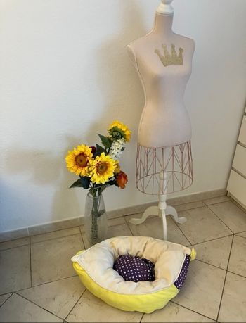 Coussin/panier pour chiens ou chats Lune 🌙