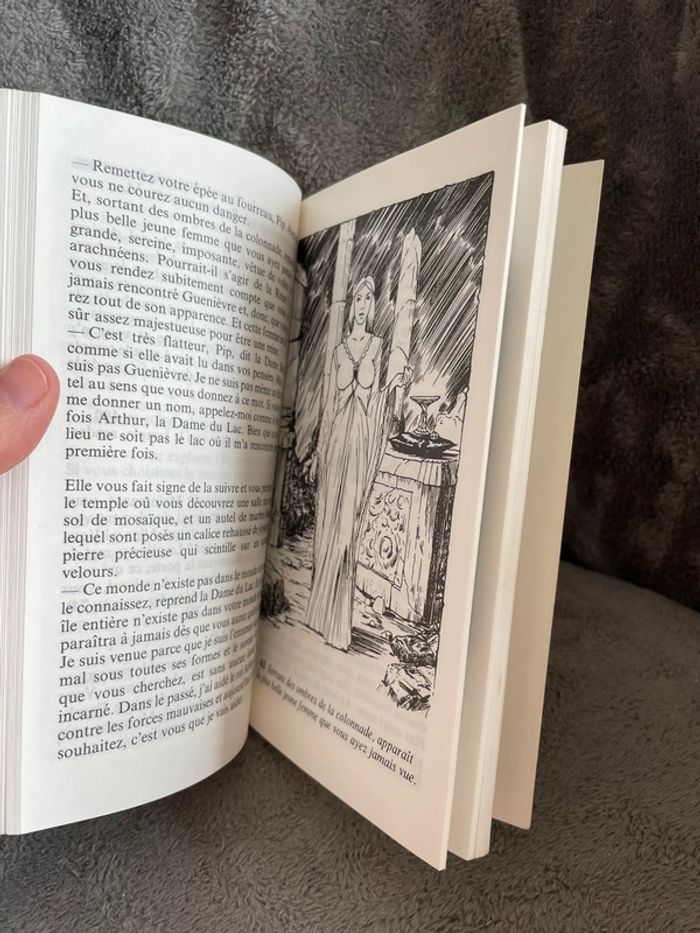 Livre dont vous êtes le héros le château des ténèbres - photo numéro 10