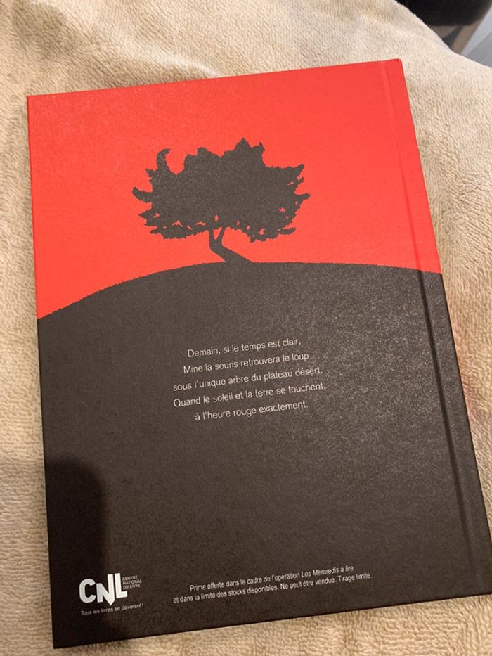 livre enfant - photo numéro 3