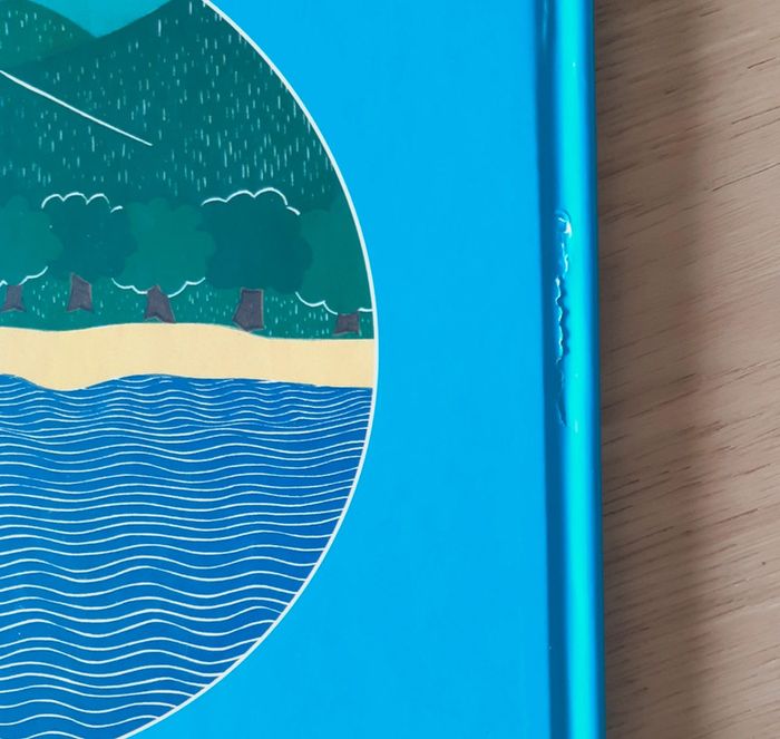 Livre Sally à la montagne - photo numéro 4