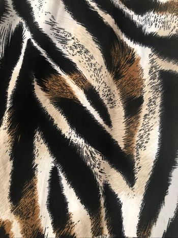 Magnifique Robe zébré