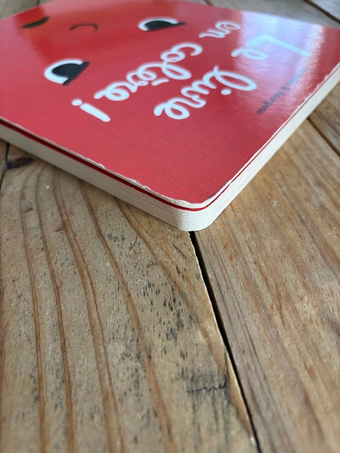 Livre de la colère - photo numéro 4