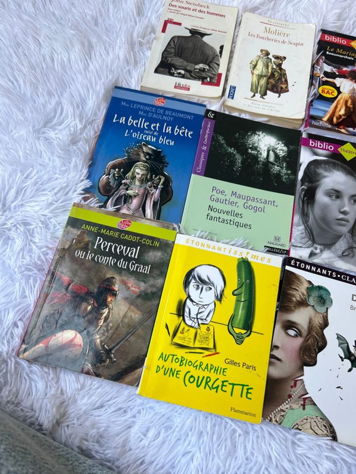 Livre au choix, littérature classique pour collège ou lycée - photo numéro 2