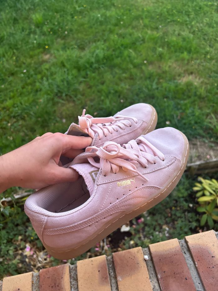 Basket puma