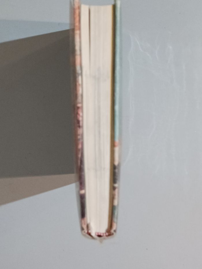 Les grandes aventures de l'archéologie - photo numéro 9