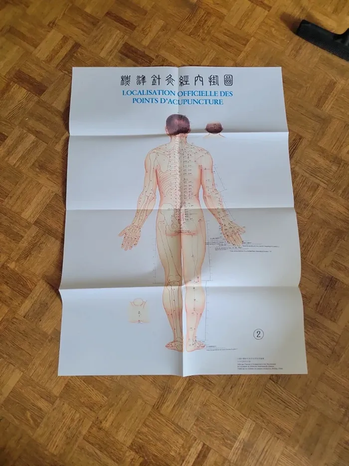 Localisation officielle des points d' acupuncture - photo numéro 9