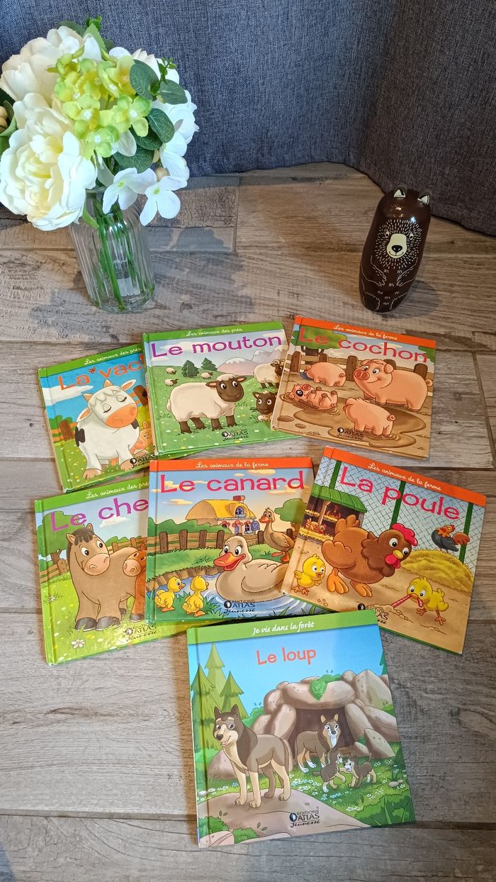 Lots de livres