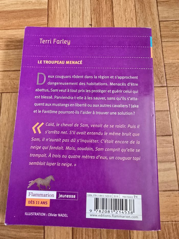 Tome 6 "Cheval fantome" - photo numéro 2