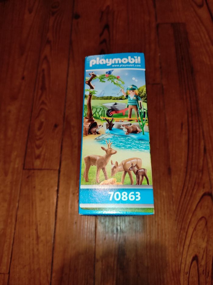 Playmobil Family Fun - photo numéro 2