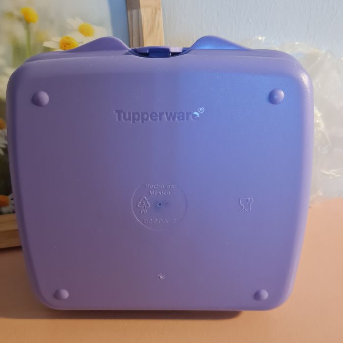 Cuadrilunch Princesse Sarah Tupperware - photo numéro 5