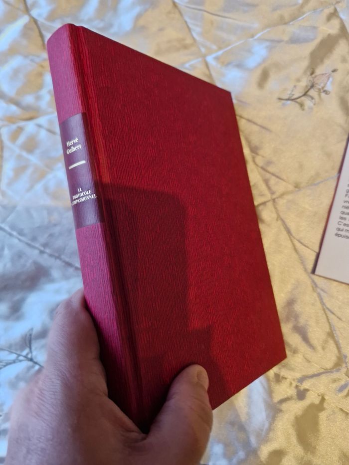 Le protocole compassionnel (autobiographie sida) - photo numéro 4