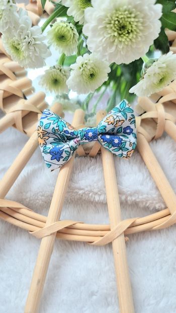 Barrette