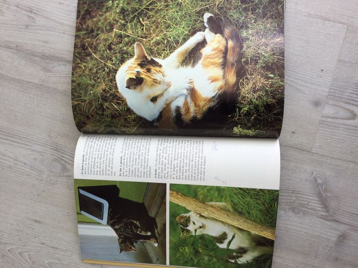 Livre les chats 1975 - photo numéro 3