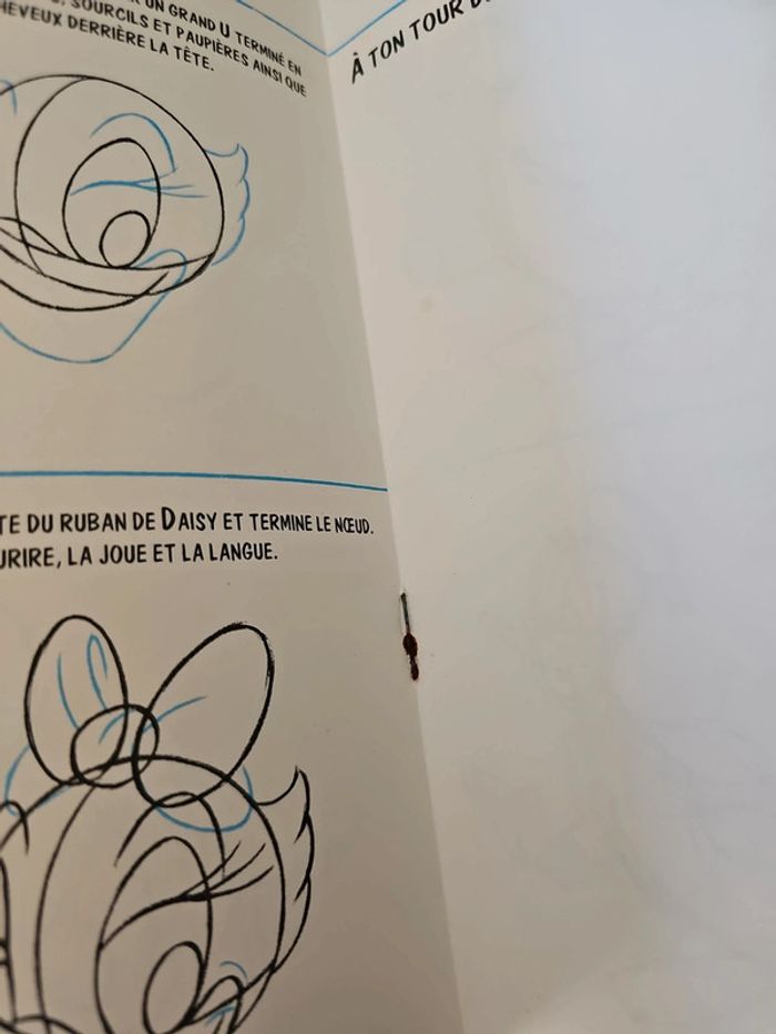 Livre je dessine Donald et daisy vintage - photo numéro 14