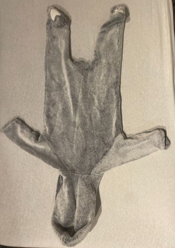 Combinaison Surpyjama capuche pieds 69cm 6m - photo numéro 7