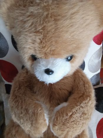 Ours Boulgom 40 cm marron assis truffe museau blanc nez noir yeux noirs