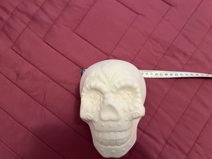 Lot Crâne en Plâtre, Peinture, Pinceau. Neufs - photo numéro 10