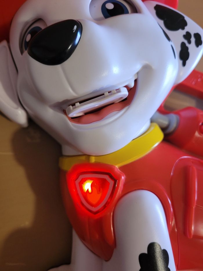 Marcus croc lettres - photo numéro 3