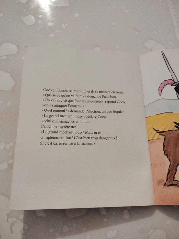 Livre Coco Panache - photo numéro 2