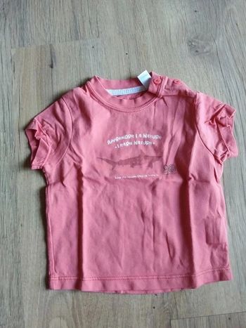 Tee-shirt manches courtes nature requin 6 mois