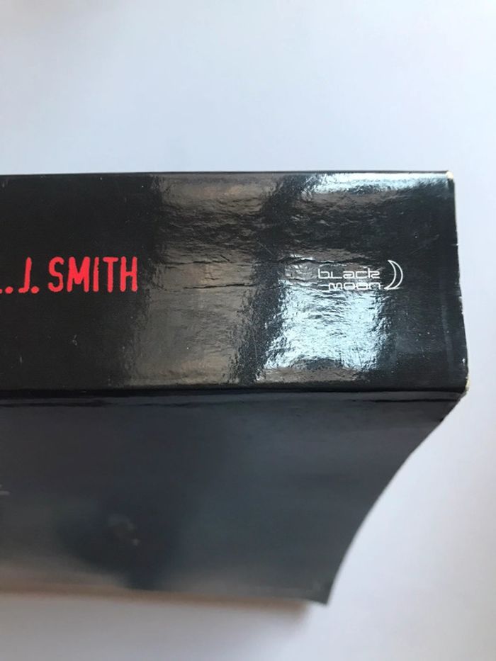 Livre « Journal d’un vampire » de L. J. Smith - photo numéro 2
