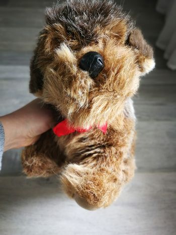 Peluche ancienne vieux chien