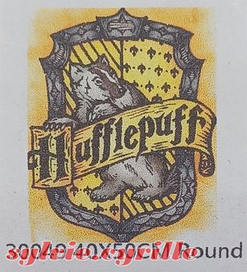 Diamond Painting 40×50 Harry Potter Poutsouffle rond