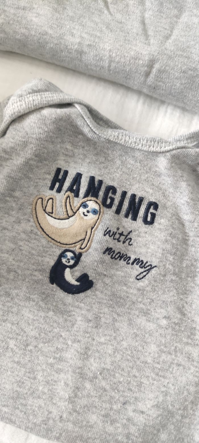 Lot de Body - photo numéro 4