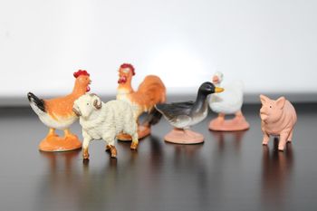Safari LTD lot animaux de la ferme