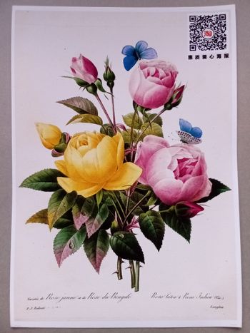 AFFICHE POSTER TOILE INFÉRIEURE A4 FLEURS ROSES