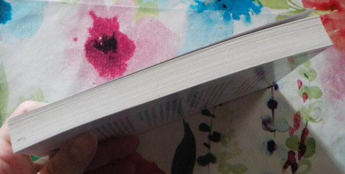 Sachez que nous sommes toujours là de Esther Safran Foer Ed. Points - photo numéro 5