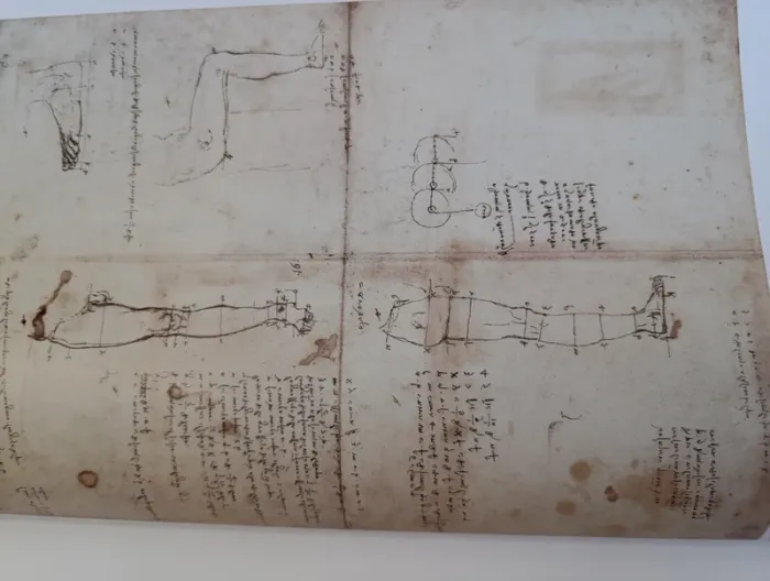Livre de collection Léonard de Vinci "Tout l'œuvre peint et graphique" Taschen - photo numéro 8