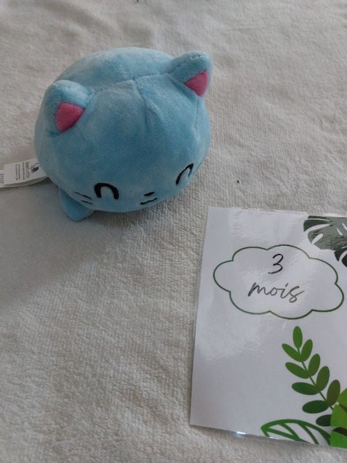 Peluche chat