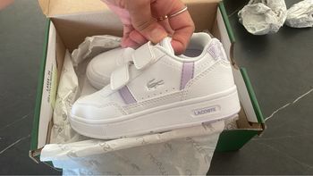 Basket Lacoste 26
