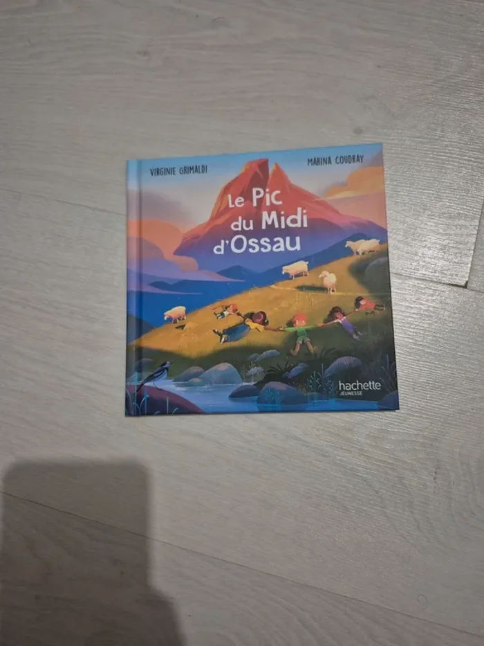 Lot de 4 livres - photo numéro 8