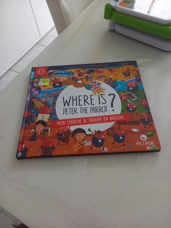 Livre cherche et trouve en anglais