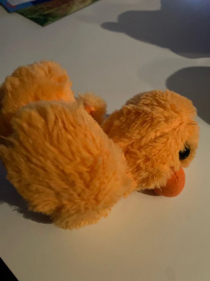 Canard orange - photo numéro 2