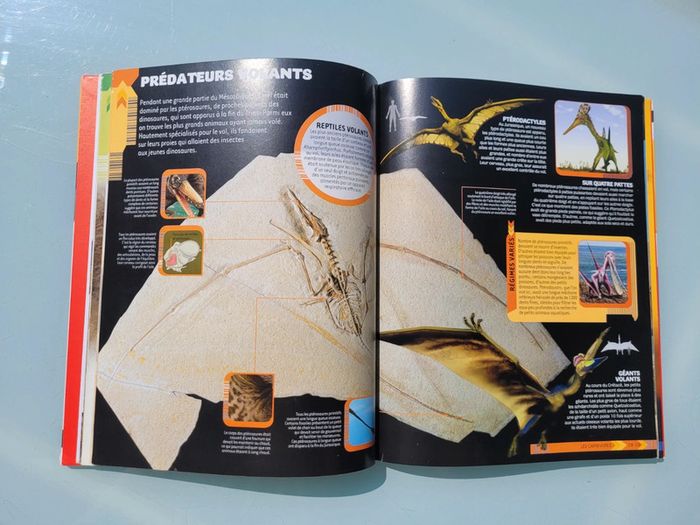 Livre Dokéo+ Réalité Augmentée : Les Dinosaures en action (43) - photo numéro 6